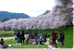 1540438 10152030973102951 3116347090613303059 o