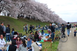 210192_10150149159522951_5437572_o