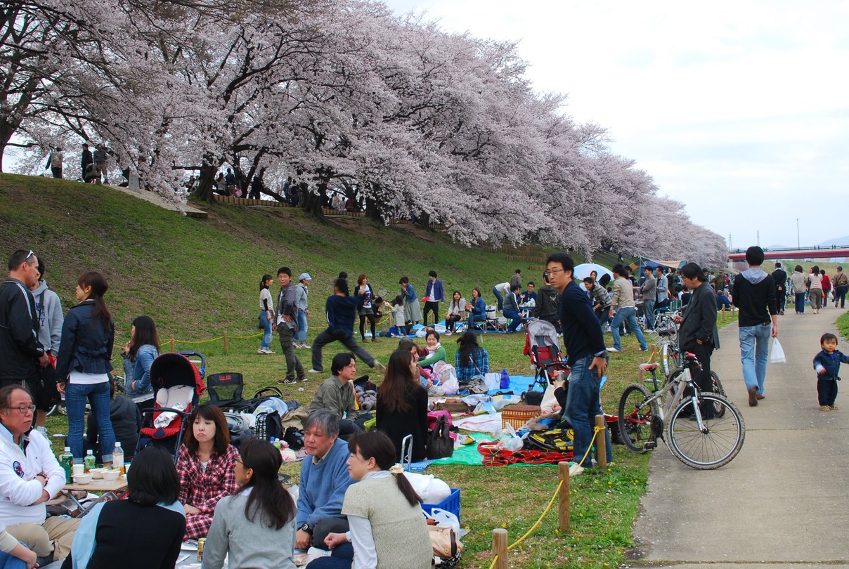 210192_10150149159522951_5437572_o